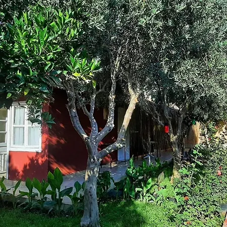 Moy-side Otel
